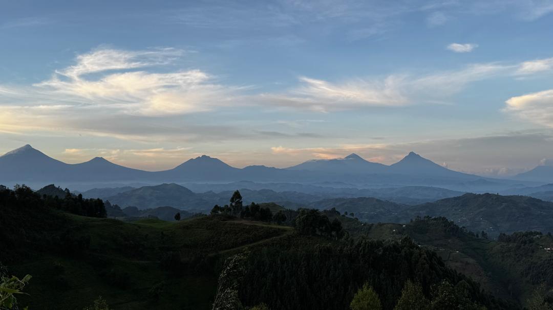 Bwindi Landscape